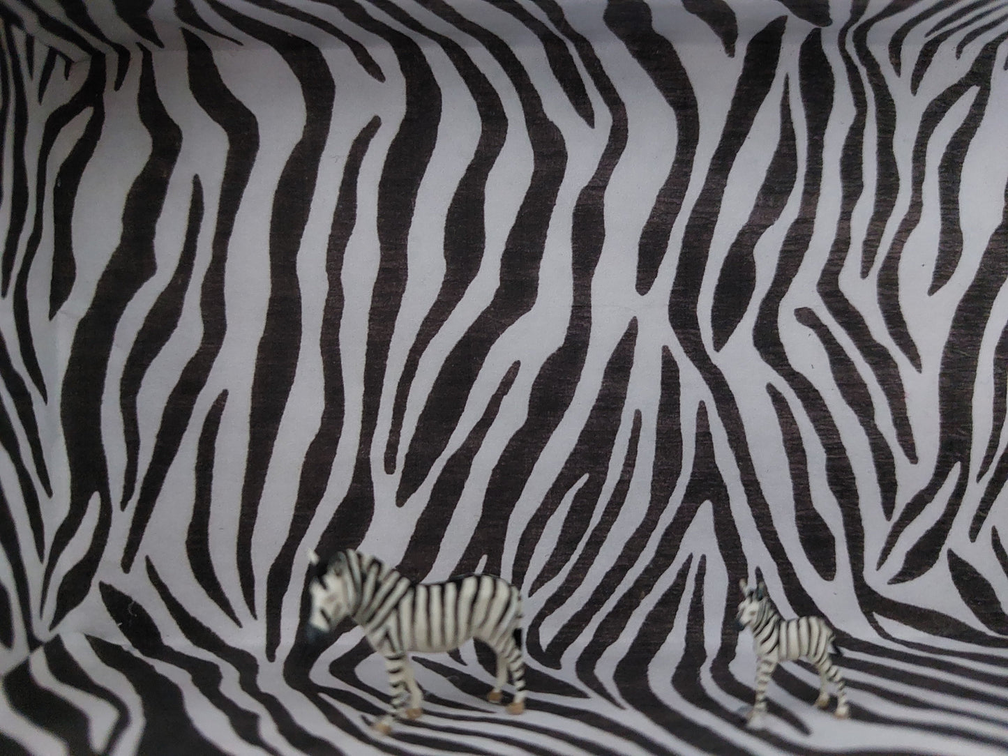 "Safari"