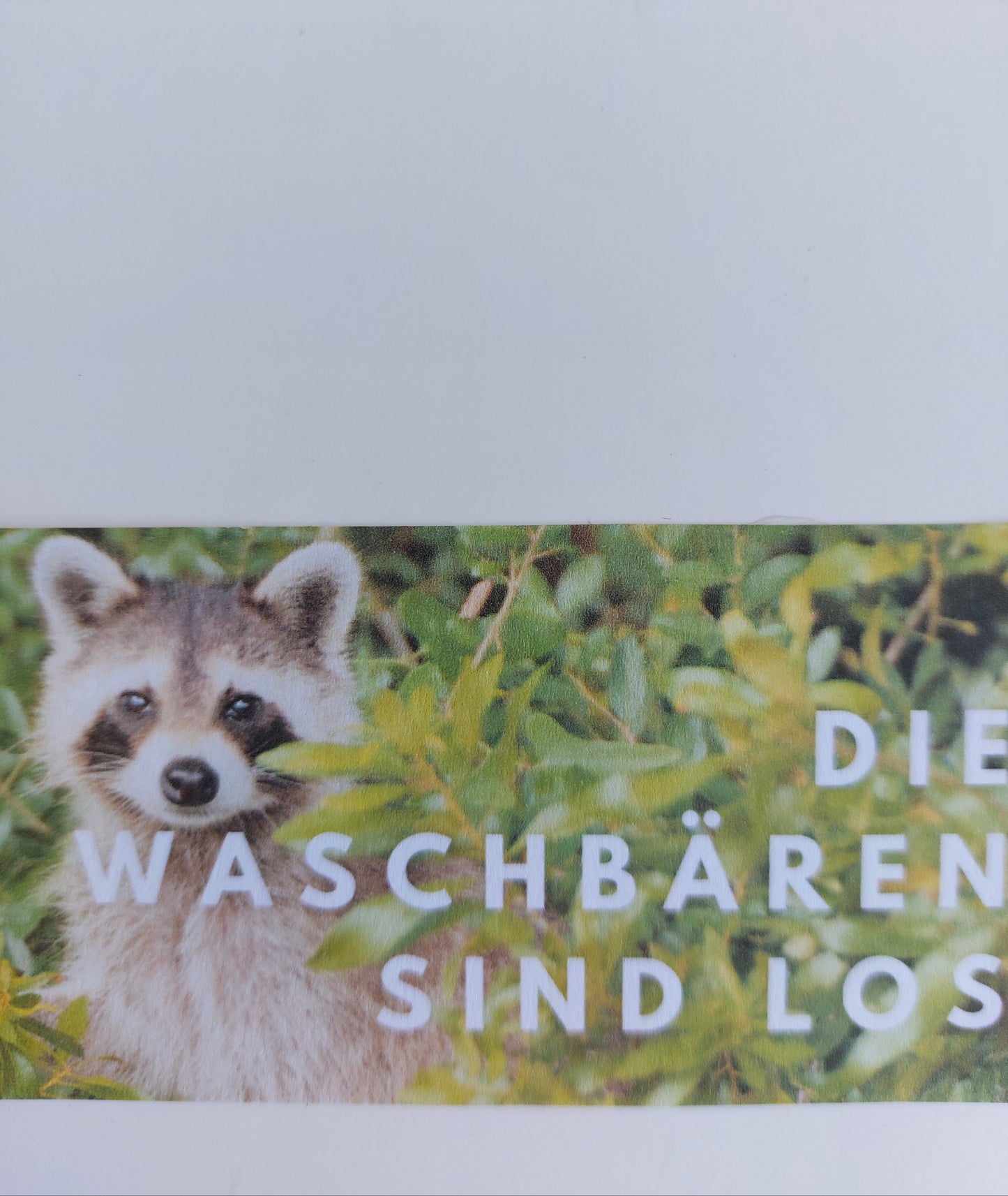 "Die Waschbären sind los"- 3D-Diorama