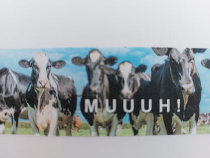 "Muuuh"- Besuch auf dem Bauernhof