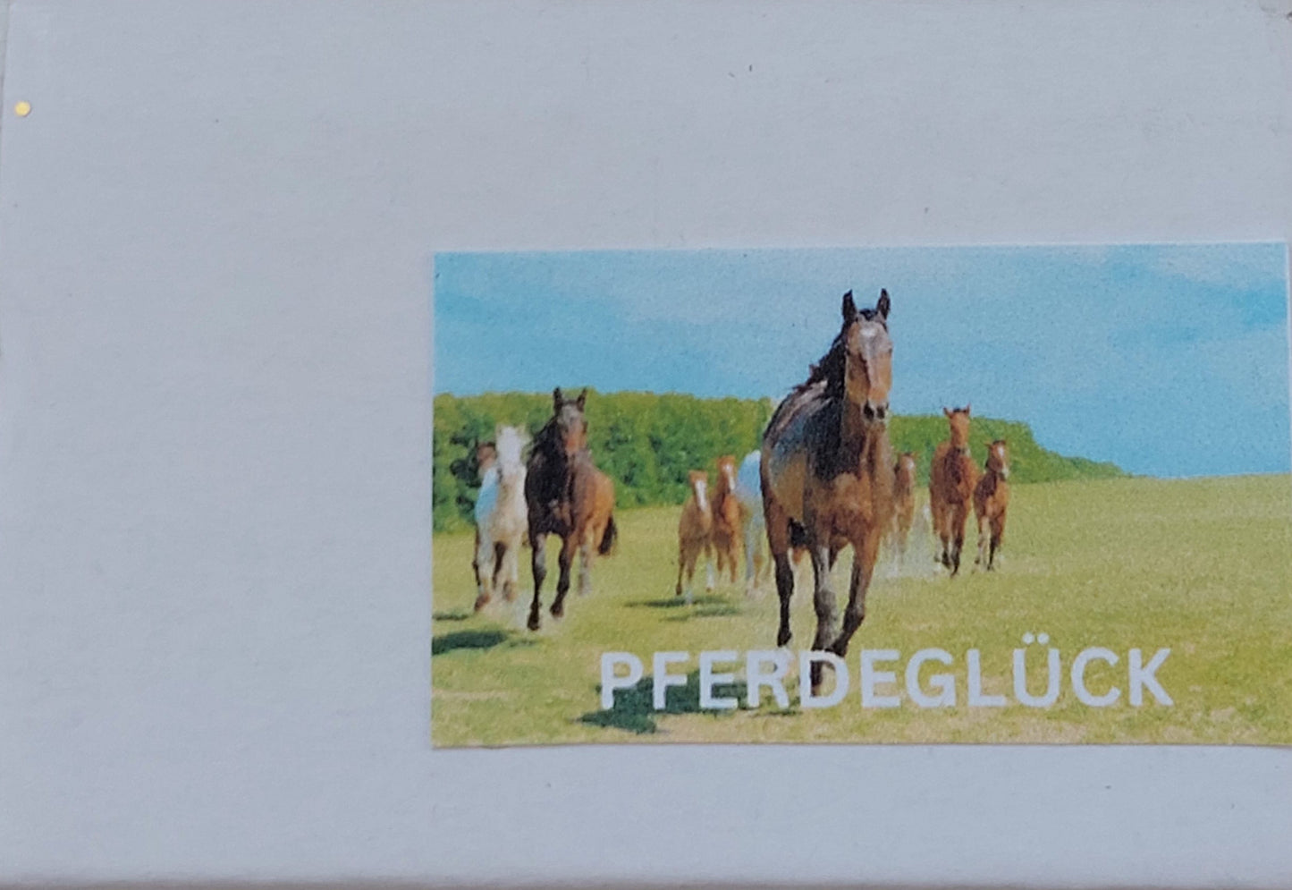 "Pferdeglück II" - Minibox