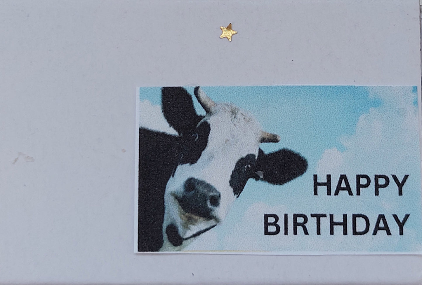 "Happy Birtday" - Minibox mit Kuh